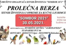 prolecna_berza_sombor