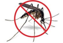 tretman-komaraca-ilustracija